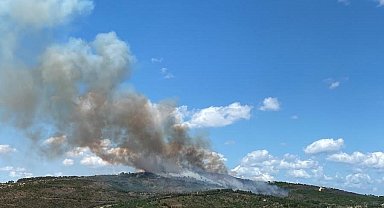 Kocaeli'deki orman yangını havadan ve karadan müdahaleyle söndürüldü