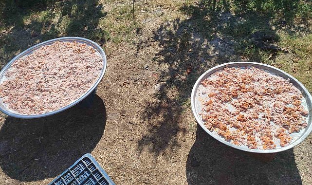 Köşk Başçayır'da geleneksel kışlık tarhana hazırlıkları başladı