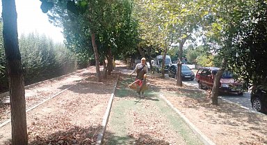 Köşk'te park ve yeşil alanlarda bakım çalışmaları sürüyor