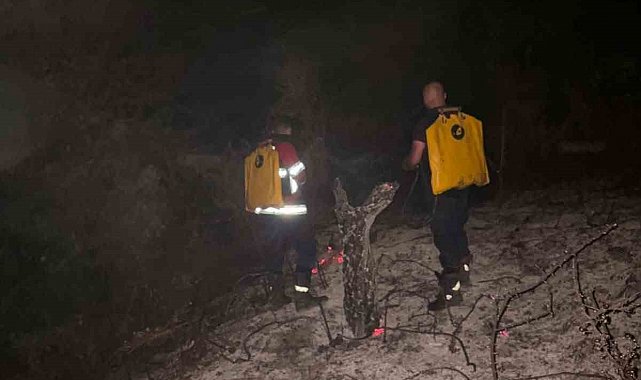 Kosova'da orman yangını alarmı: Yangın 7 saat sonra söndürüldü