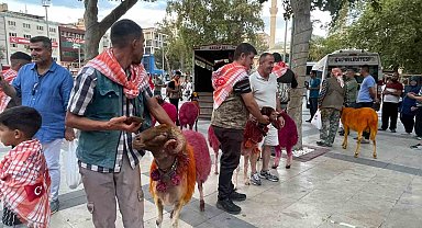 Koyunlar sudan önce bulvardan geçti