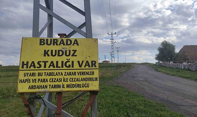 Kuduz nedeniyle mahalleye giriş çıkışlar yasaklandı