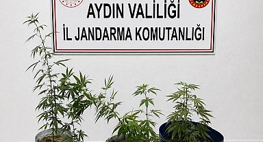 Kuşadası'ndaki uyuşturucu operasyonunda 3 şüpheli gözaltına alındı