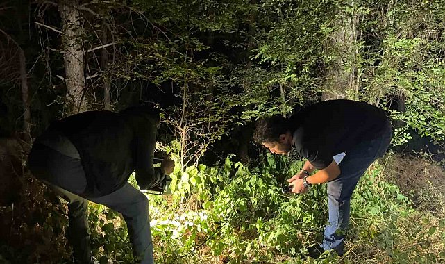 Kütahya'da ormanlık alanda silahlı yaralama: 1 kişi yakalandı