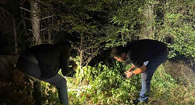 Kütahya'da ormanlık alanda silahlı yaralama: 1 kişi yakalandı