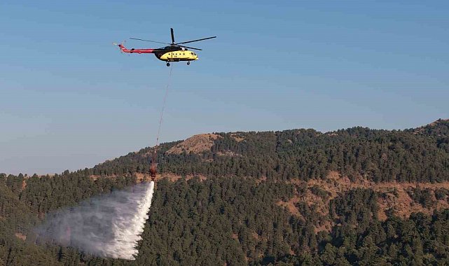 Kuyucak'taki orman yangını kontrol altına alındı