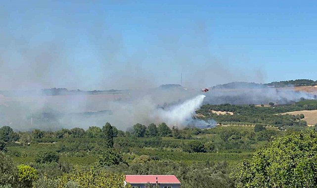 Lapseki'de tarım arazisindeki yangına müdahale devam ediyor