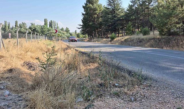 Mahalle muhtarından yol kenarlarındaki kurumuş otlar için 'yangın' uyarısı