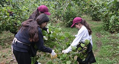 Mardinli gençler Ordu'yu her yönüyle tanıyıp, fındık tarımını öğreniyor