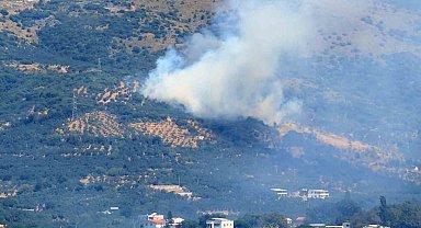 Marmara Adası'nda orman yangını başladı