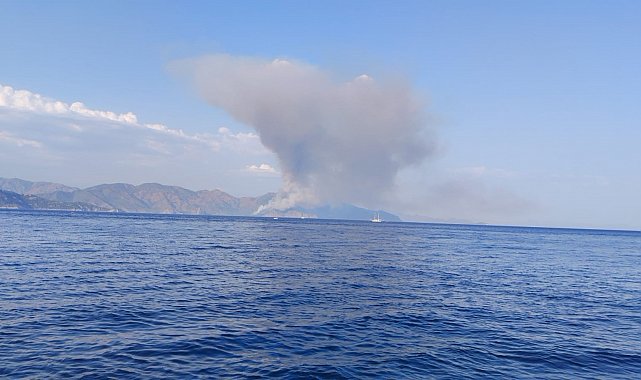 Marmaris'te orman yangını