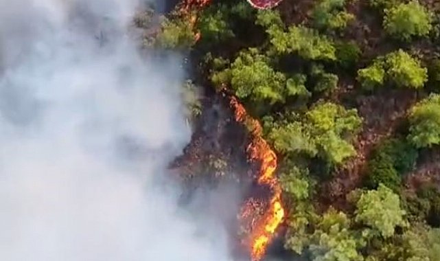 Marmaris'teki yangında hava müdahalesi başladı