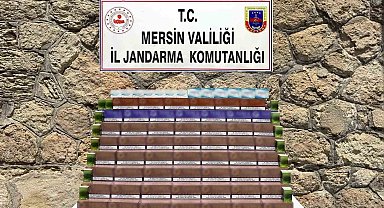Mersin'de 3 bin 850 paket kaçak elektronik tütün ele geçirildi