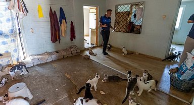 Mersin'de 'çöp ev' ihbarından yaklaşık 100 kedi çıktı
