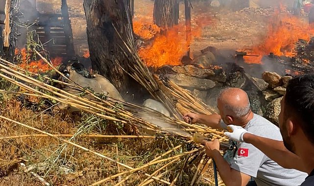 Mersin'de yangına müdahale eden belediye çalışanları ödüllendirildi