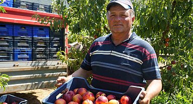 Meyve suyu fabrikaları üreticiden aldıkları ürünün fiyatları iyice dibe vurdu