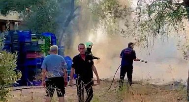 Milas'ta zeytinlik alan yangını büyümeden söndürüldü