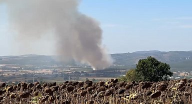 Mudanya'da korkutan yangın: Havadan ve karadan müdahale ediliyor