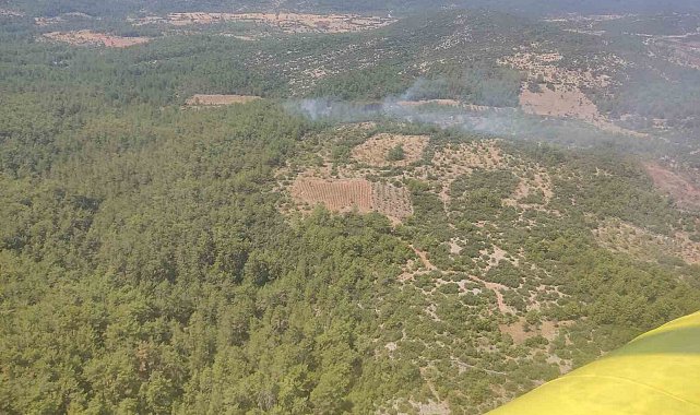 Muğla'da orman yangını kontrol altına alındı