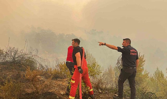 Muğla'daki her 10 yangından 7'si insan kaynaklı
