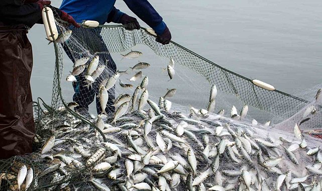 Muğla'nın ihracat rekortmeni olduğu su ürünleri sektörünün ihracatı 2 milyar doları geçti