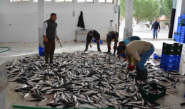 Muğla'nın Temmuz ayı ihracatı 142 milyon dolara ulaştı