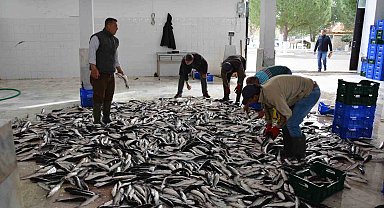 Muğla'nın Temmuz ayı ihracatı 142 milyon dolara ulaştı