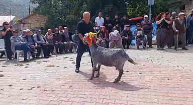 Mut'ta 'keçi güzellik yarışması' düzenlendi
