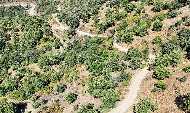 Nazilli Belediyesi Apaklar'da yolları yeniliyor
