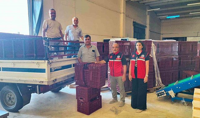 Nazilli'de incir üreticilerine destek