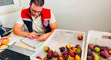 Nazilli'de taze incir denetimi