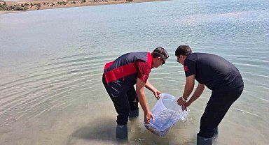 Niğde Bahçeli Göleti'ne yavru sazan bırakıldı