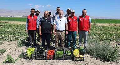 NÖHÜ'de 51 bin fideyle üretilen ürünlerin hasadı yapıldı