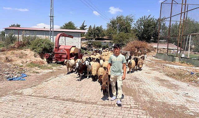 Öksüz ve yetim çoban Suriyeli Abdurrahman'dan kendine sahip çıkan aileye yürek ısıtan teşekkür