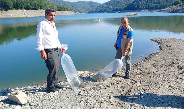 Orhaneli'de göletler sazan yavrularıyla buluştu