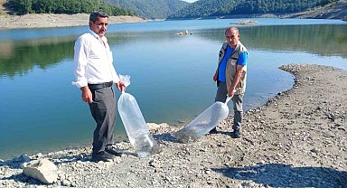 Orhaneli'de göletler sazan yavrularıyla buluştu