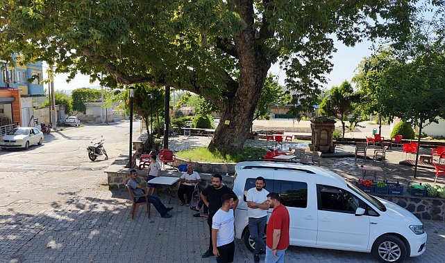 Osmaniye'de 260 yıllık çınar yaz sıcağında doğal klima oluyor