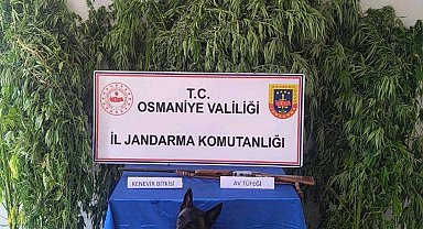 Osmaniye'de jandarma bir haftada 128 şüpheli yakaladı