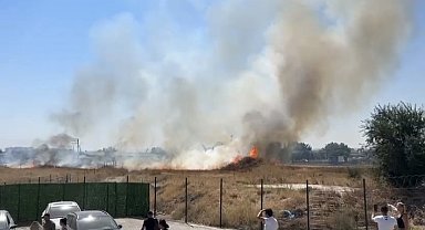 Otluk alanda çıkan yangın paniğe neden oldu