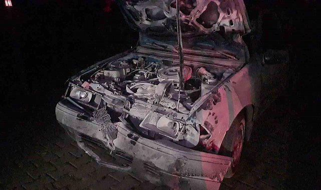 Otomobil karayoluna çıkan 3 mandaya çarptı: 1'i ağır, 2 yaralı