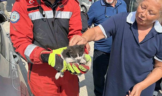 Otomobilin motor bölümüne sıkışan kedi kurtarıldı