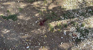 Parkta bir kişiyi döner bıçağıyla yaralayan saldırgan yakalandı