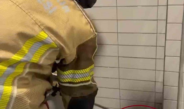 Petrol istasyonuna giren 2,5 metre uzunluğunda yılan yakalandı