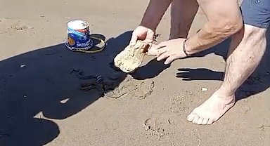 Plajda görülen yılan vatandaşlara panik yaşattı