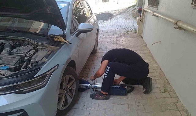 Reyhanlı ve Defne'de mahsur kalan kediler kurtarıldı