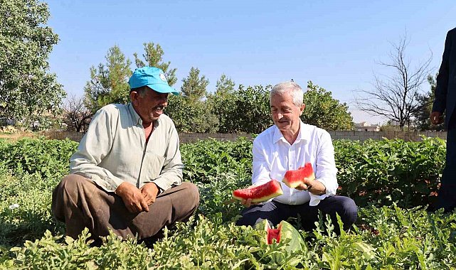 Şahinbey'den çiftçilere 53 milyon fide desteği