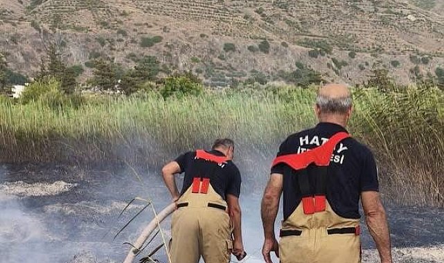 Samandağ'da bahçe yangını büyümeden söndürüldü