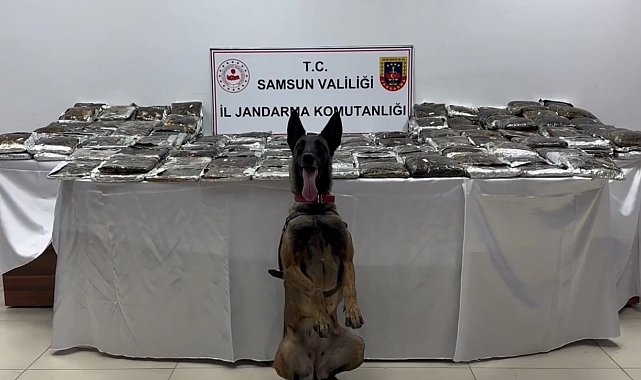 Samsun'da tıra gizlenmiş 132 kilo toz esrar ele geçirildi