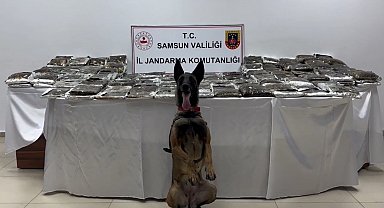 Samsun'da tıra gizlenmiş 132 kilo toz esrar ele geçirildi