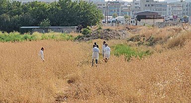 Şanlıurfa'da tarlada erkek cesedi bulundu